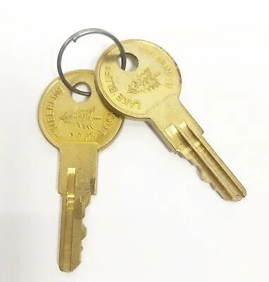 Extra Keys for Mechanical Key Lock 100TA