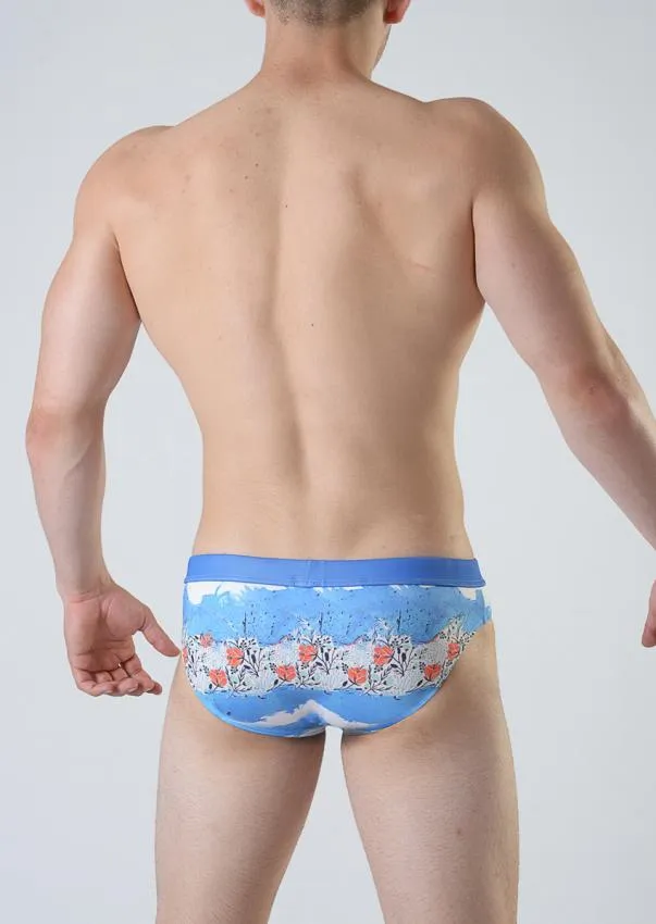 Swimming Briefs 1809s2